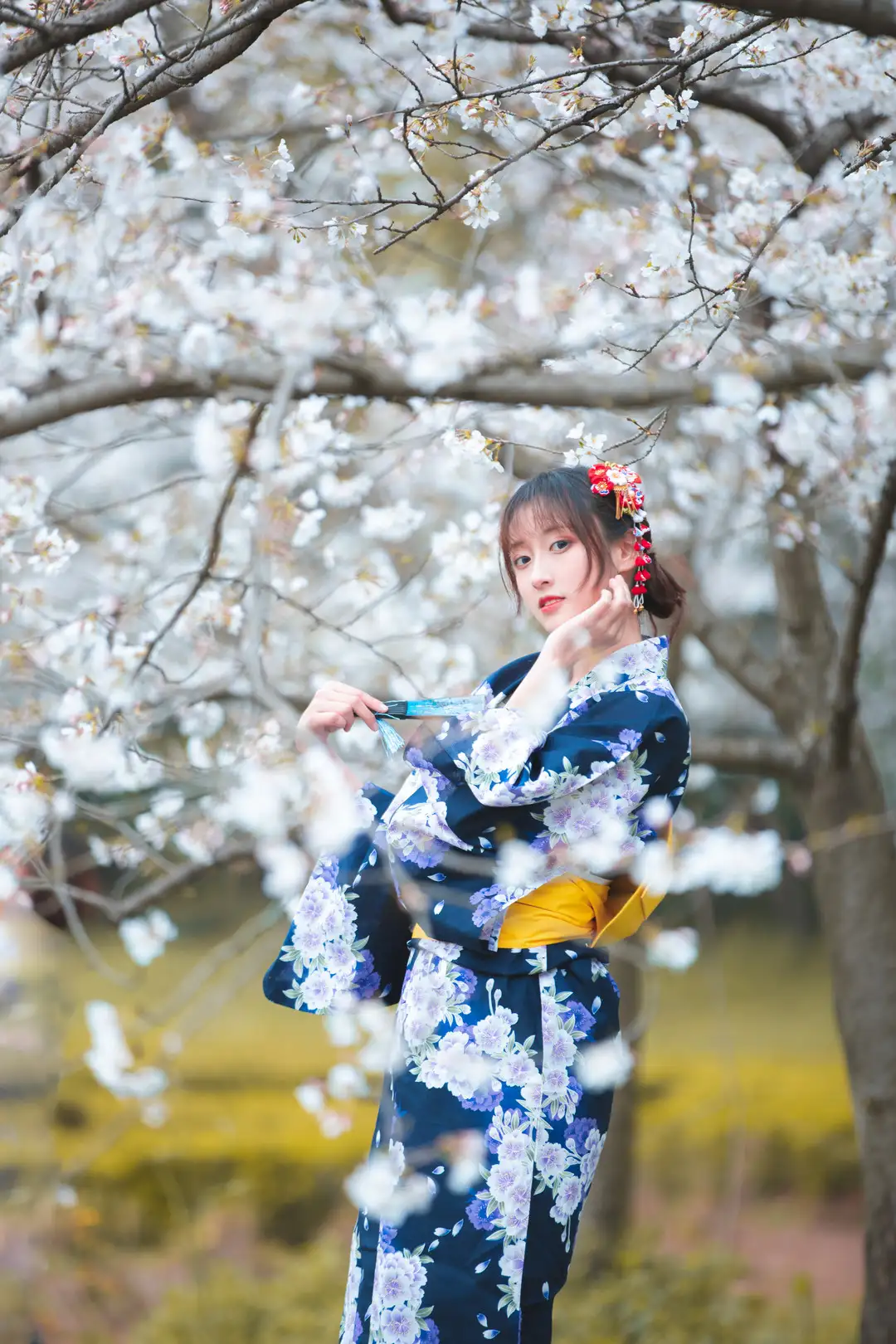 冬马路纱身穿藏青花柄浴衣配明黄腰带,站在开满白色樱花的树下侧身回望